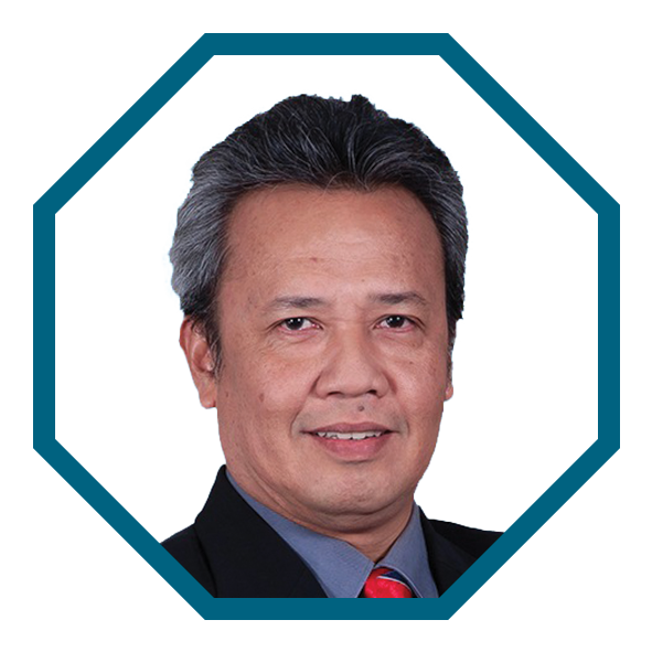 Prof. Dr. Zulqarnain Mohamed